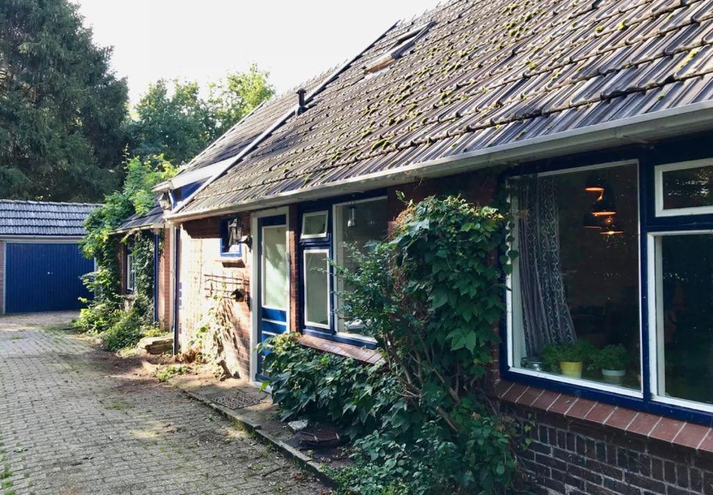 Johanna'S Oostwold  Exterior photo