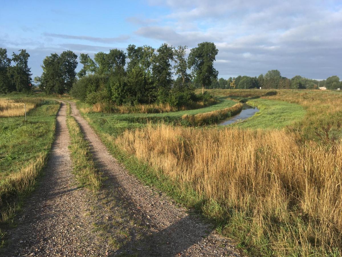 Johanna'S Oostwold  Exterior photo